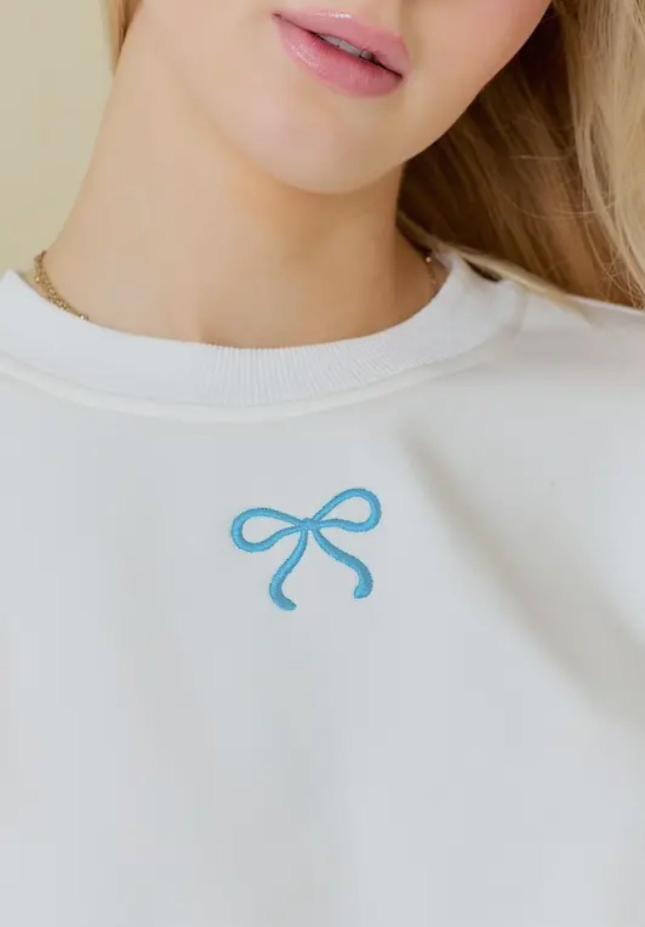 Coquette Embroidery Ribbon Crewneck Top