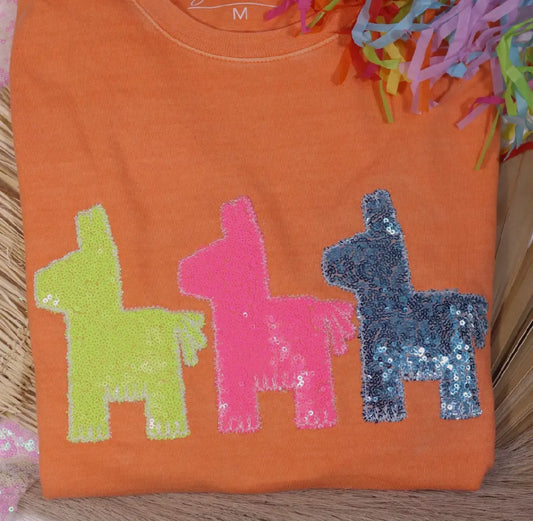 Pinata Sequins Graphic Top